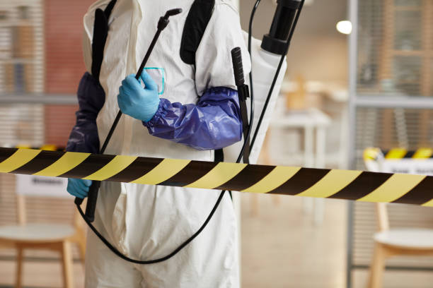 Professional Sewage Cleanup technician working in New Ross, IN